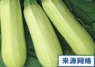 孕期可以吃角瓜,角瓜助力母婴健康