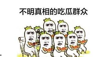 吃瓜群众代表组合,揭秘娱乐圈幕后风云