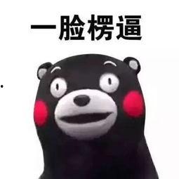 不懂不懂吃瓜群众,网络热词背后的文化现象