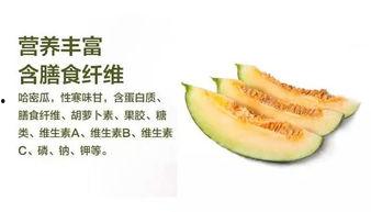 吃的什么瓜哈密的瓜,探寻新疆瓜果的独特魅力